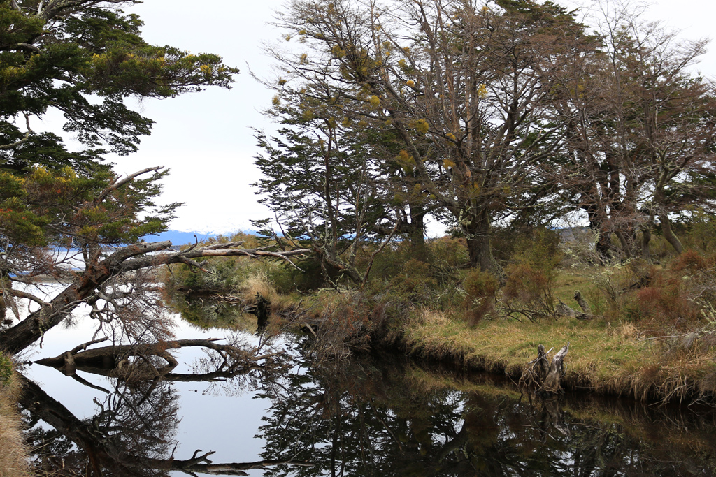 Punta Arenas